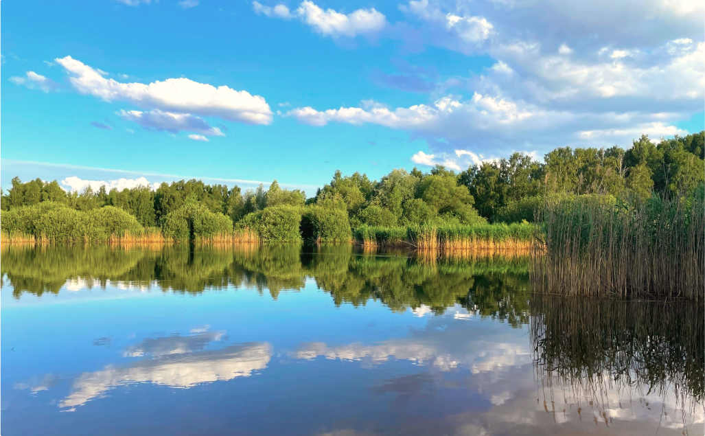 Żyj zdrowoi szczęśliwie!
