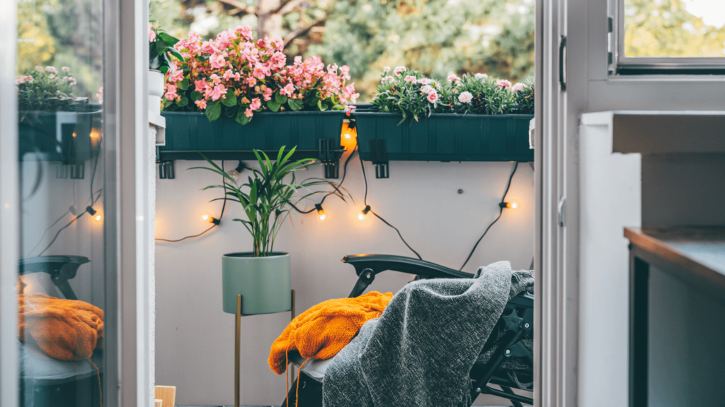 rośliny na balkon na jesień