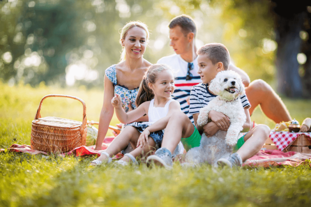 tereny rekreacyjne Łódź