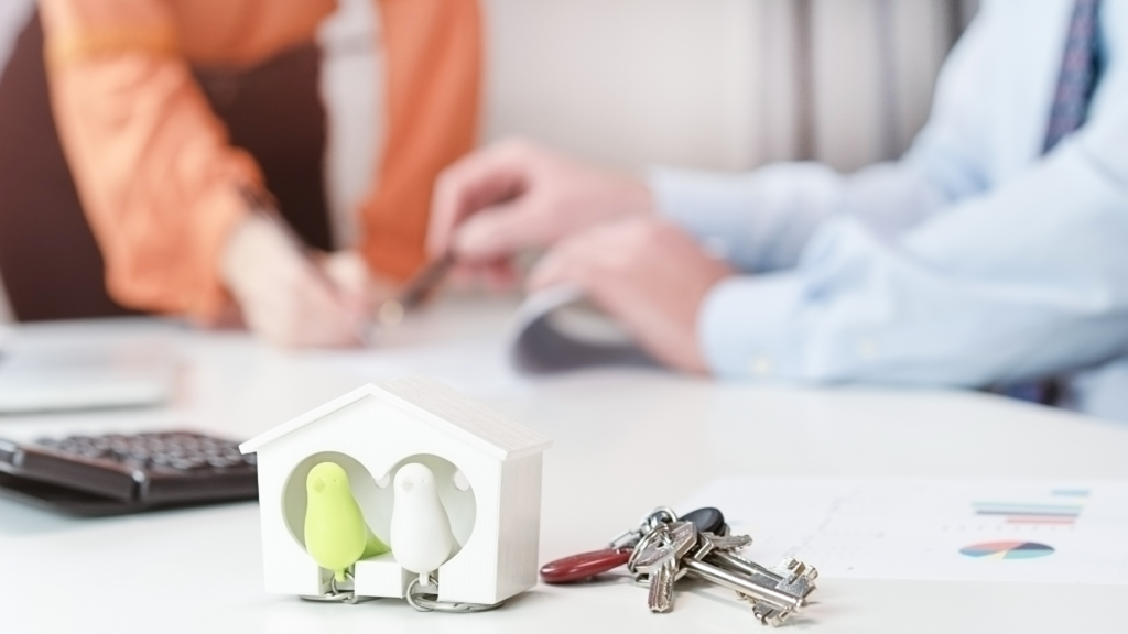 mieszkania  pod wynajem Łódź