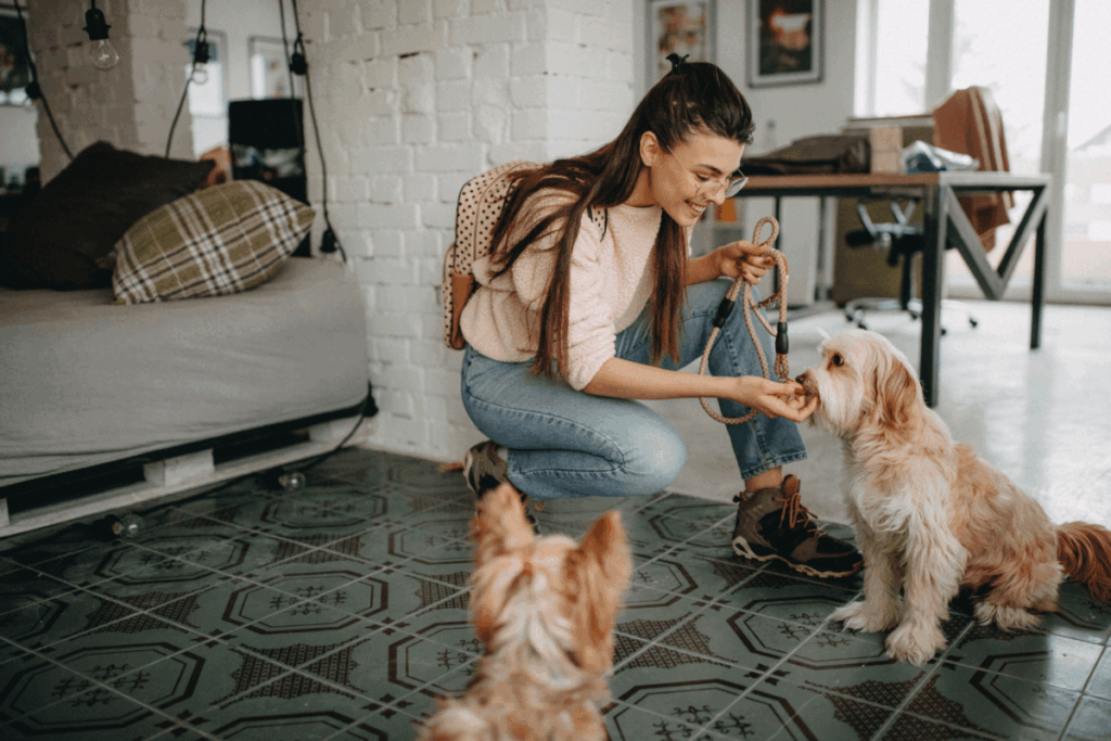 nowe mieszkanie łódź Polesie