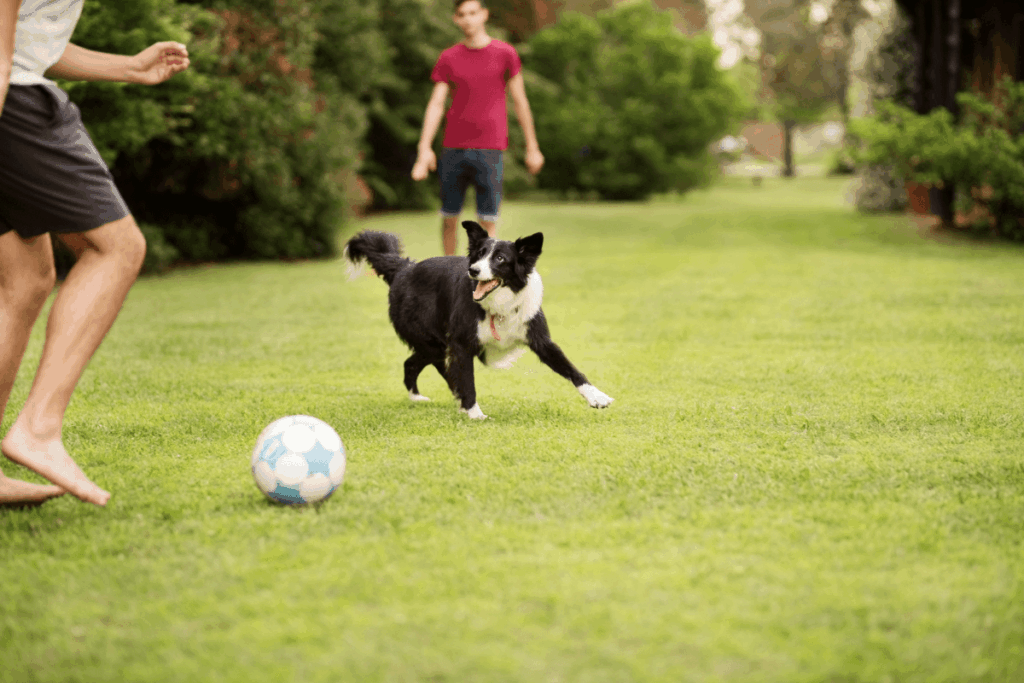 komfort życia mieszkańców